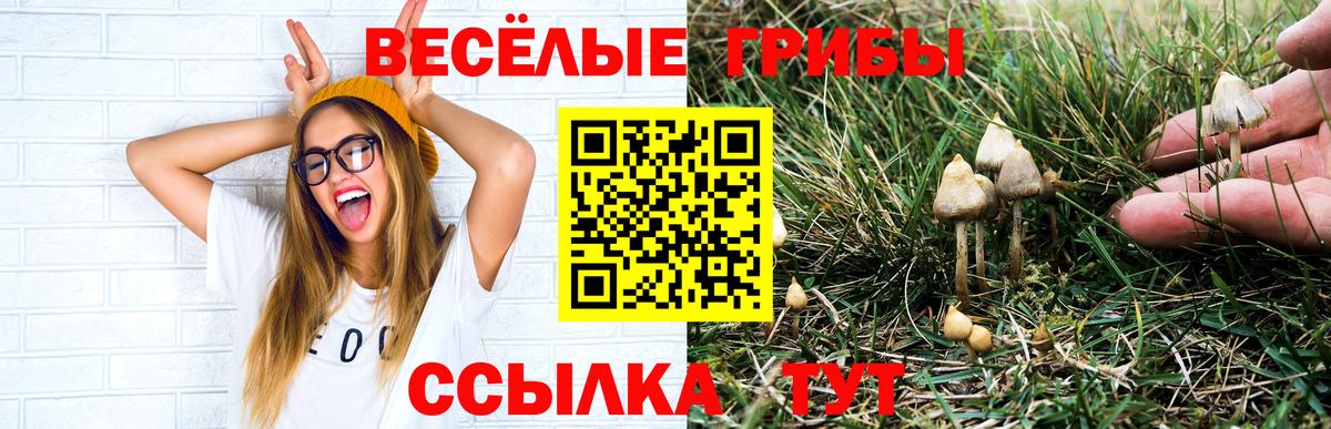 Галлюциногенные грибы MAGIC MUSHROOMS Грязи